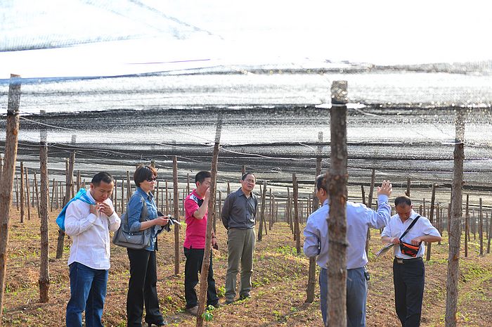 师宗实践 (5).jpg